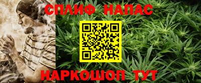 спиды Гагарин