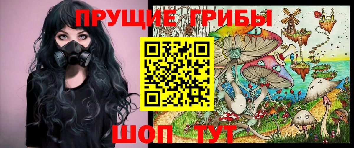 Псилоцибиновые грибы прущие грибы Мурино