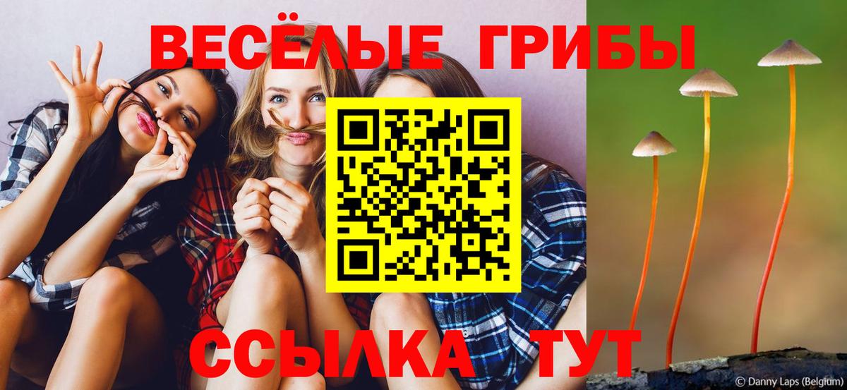 Мурино  Галлюциногенные грибы прущие грибы  Вход с VPN 